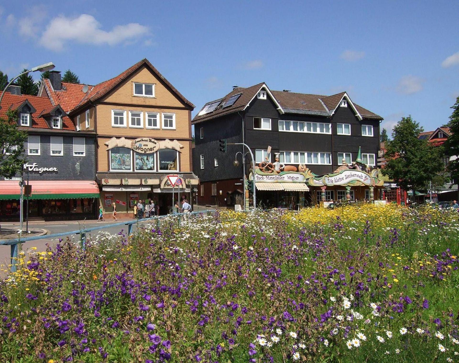 Ferienresidenz An Der Bode, Wohnung 1 Braunlage Eksteriør billede