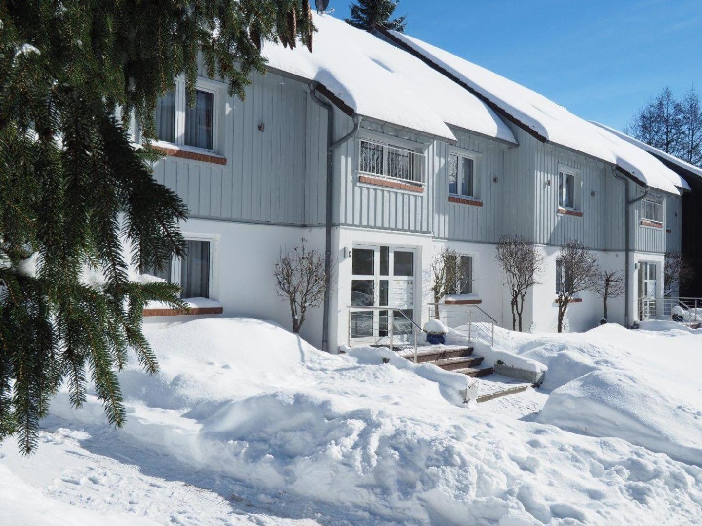 Ferienresidenz An Der Bode, Wohnung 1 Braunlage Eksteriør billede